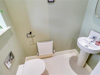 Picture 7